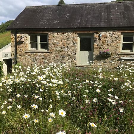 Danygraig Cottage Carmarthen Buitenkant foto