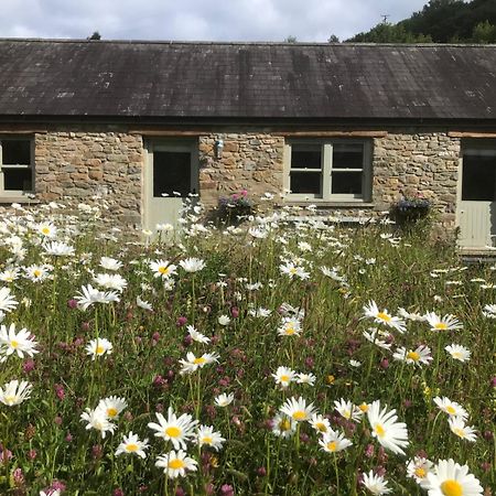 Danygraig Cottage Carmarthen Buitenkant foto
