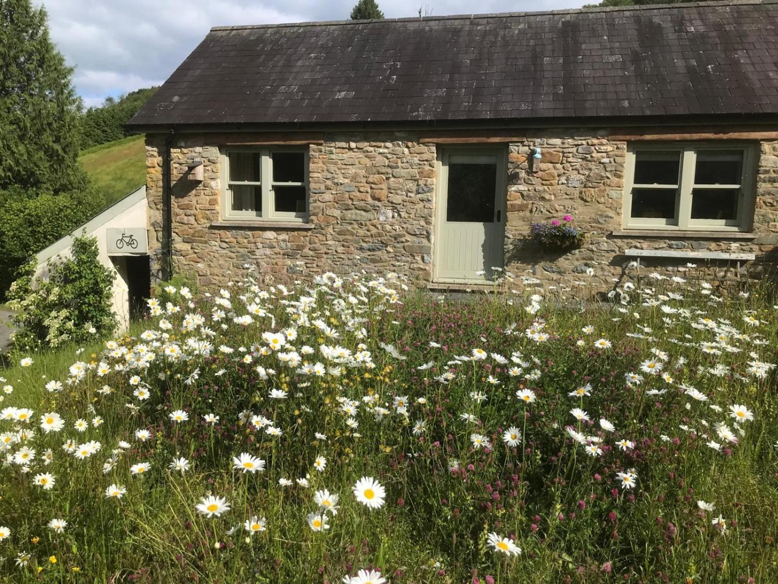 Danygraig Cottage Carmarthen Buitenkant foto
