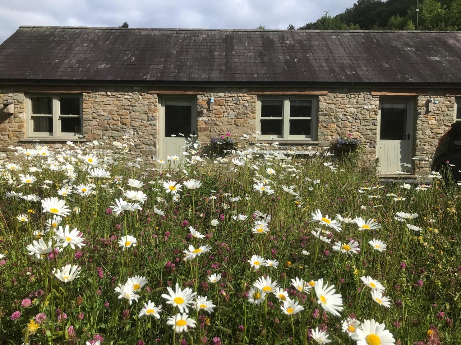 Danygraig Cottage Carmarthen Buitenkant foto