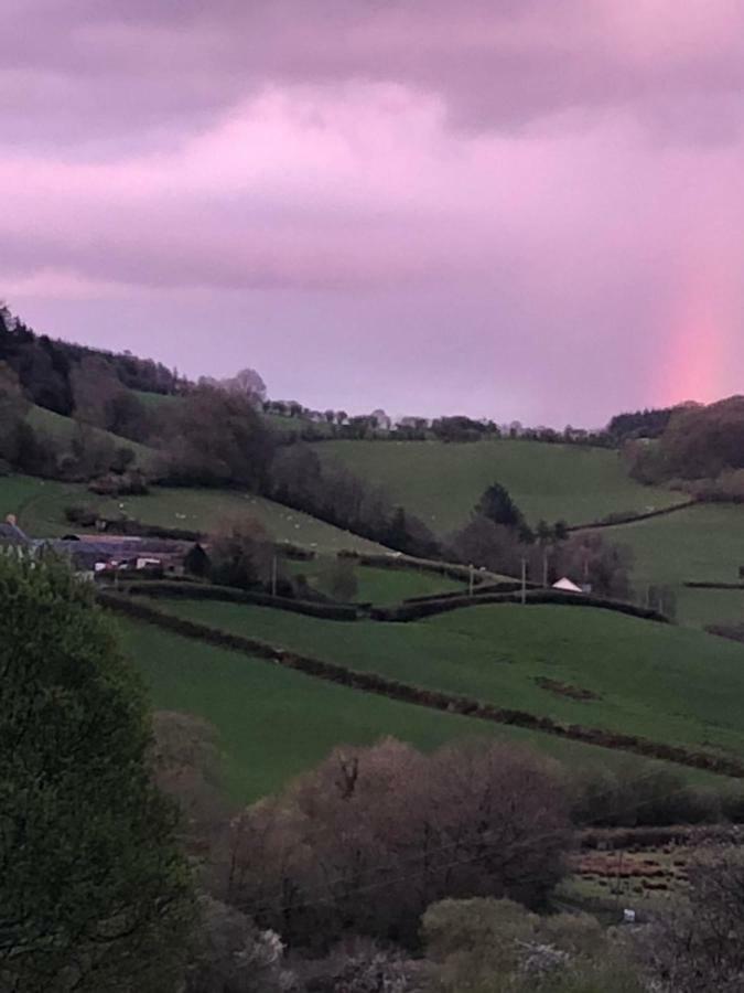 Danygraig Cottage Carmarthen Buitenkant foto